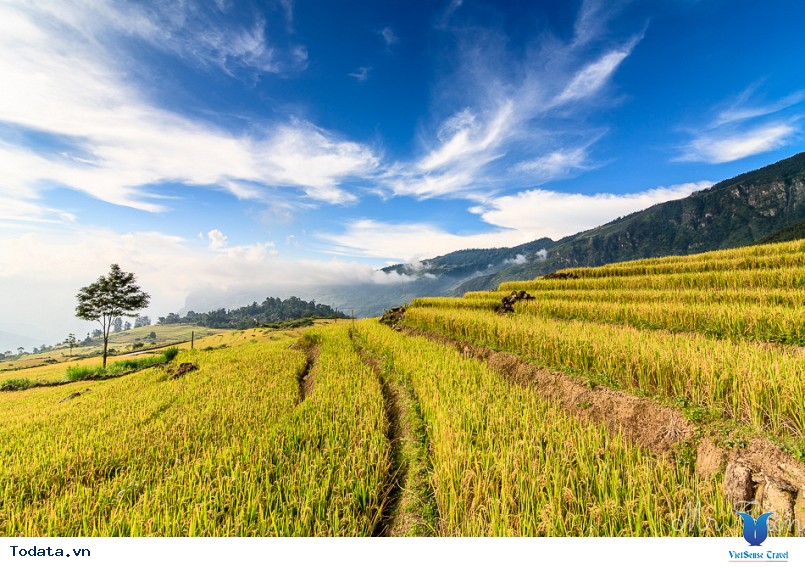 Nên đi du lịch sapa vào thời điểm nào Nên đi du lịch sapa vào thời điểm nào